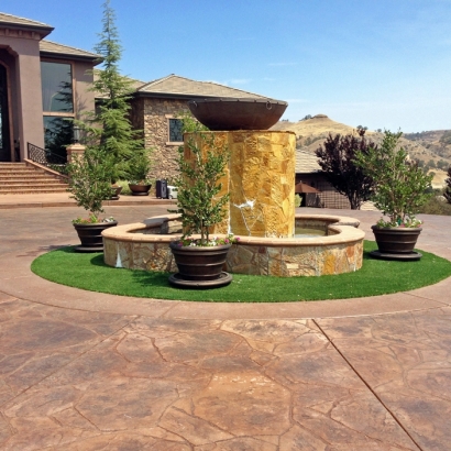 Fake Grass Carpet Cottonwood Heights, Utah Landscaping, Front Yard Landscaping Ideas