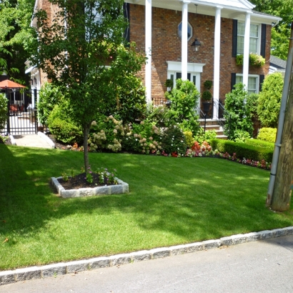 Fake Grass Carpet Culver City, California Gardeners, Front Yard Landscaping