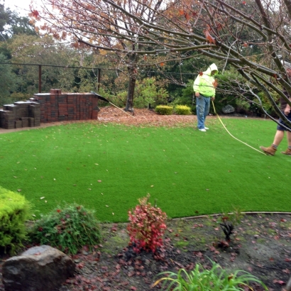 Fake Grass Carpet Mount Lebanon, Pennsylvania Landscape Design, Backyard Landscape Ideas