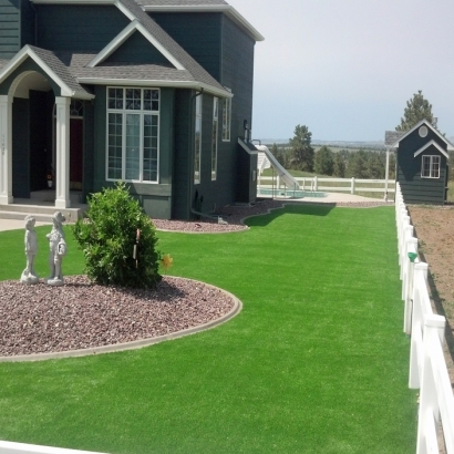 Fake Grass Carpet Park Ridge, Illinois Garden Ideas, Small Front Yard Landscaping