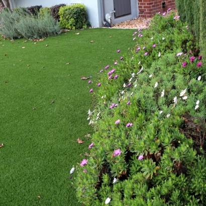 Fake Grass Carpet Schererville, Indiana City Landscape, Front Yard Ideas