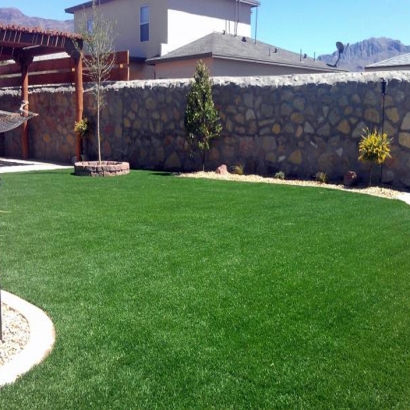 Fake Grass Spartanburg, South Carolina Design Ideas, Backyard Makeover