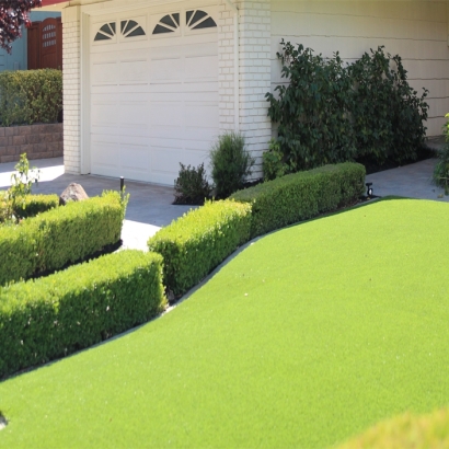 Fake Grass West Lake Sammamish, Washington City Landscape, Landscaping Ideas For Front Yard