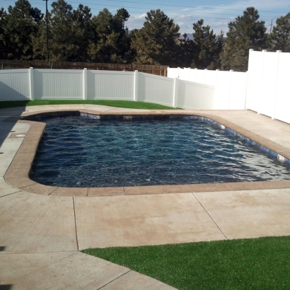 Fake Lawn Annapolis, Maryland Landscaping Business, Natural Swimming Pools