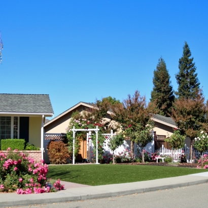 Fake Lawn Bothell, Washington Landscaping Business, Front Yard Landscaping