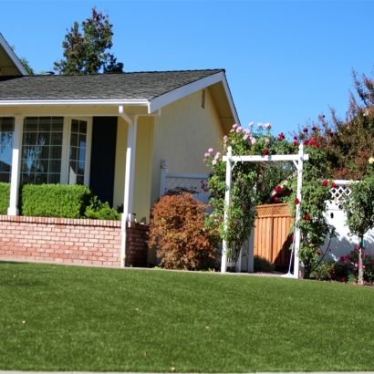 Fake Lawn Delaware, Ohio Landscaping Business, Landscaping Ideas For Front Yard