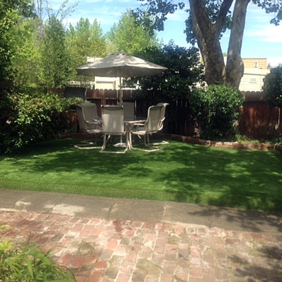 Fake Lawn Gurnee, Illinois Landscape Rock, Backyard Ideas