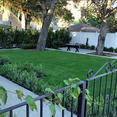 Fake Lawn Los Gatos, California Landscaping, Front Yard Landscaping Ideas