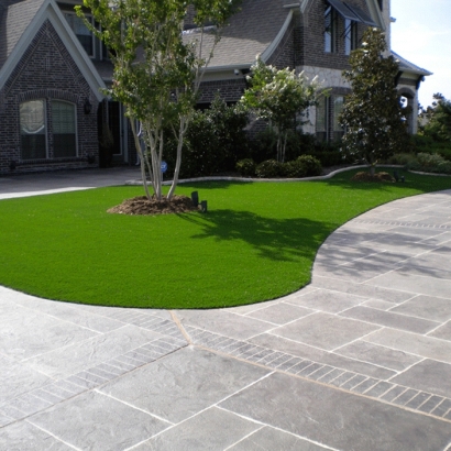 Fake Lawn Lynnwood, Washington Roof Top, Front Yard Design