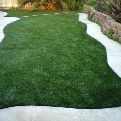 Fake Lawn University City, Missouri Design Ideas, Backyard Landscaping