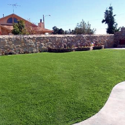 Fake Turf Dania Beach, Florida Home And Garden, Backyard Designs