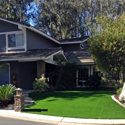 Fake Turf Gillette, Wyoming City Landscape, Front Yard Ideas