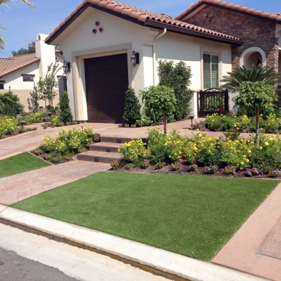 Fake Turf Indian Trail, North Carolina Gardeners, Front Yard Landscape Ideas