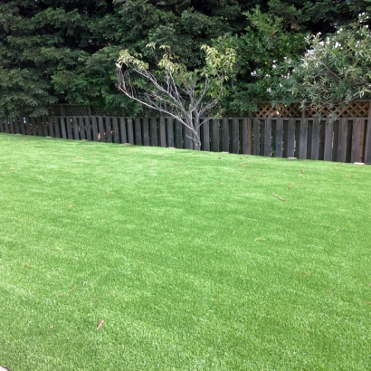 Faux Grass Brighton, Colorado Landscape Design, Backyard Designs