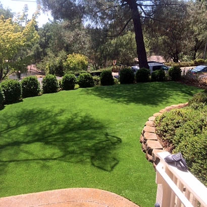 Faux Grass Mount Vernon, Washington Landscape Ideas, Backyards