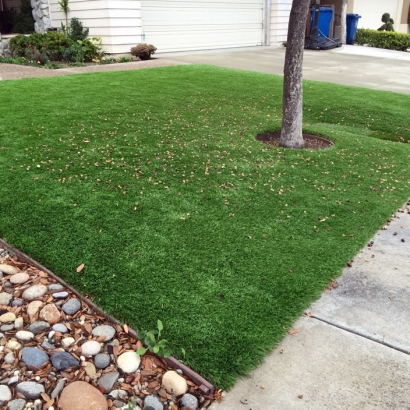 Faux Grass Oak Ridge, Tennessee Lawn And Landscape, Front Yard Landscape Ideas