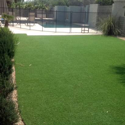 Grass Carpet Goshen, Indiana Garden Ideas, Backyard Design