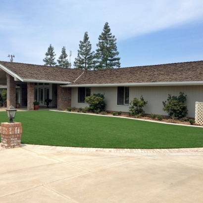 Grass Carpet Midland, Michigan Landscaping, Front Yard Landscaping Ideas