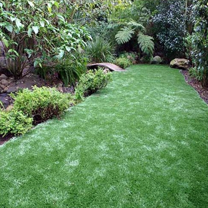 Grass Carpet Ponte Vedra Beach, Florida Landscape Rock, Backyards