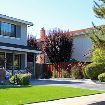 Grass Carpet Port Huron, Michigan Landscaping, Front Yard Design