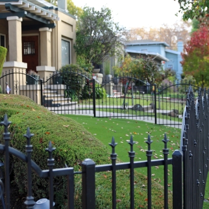 Grass Carpet Saratoga, California Garden Ideas, Front Yard Landscaping