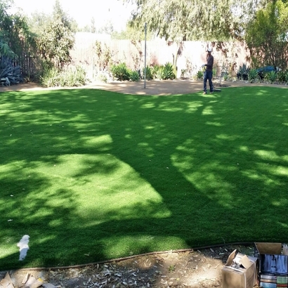 Grass Carpet West Little River, Florida Rooftop, Small Backyard Ideas