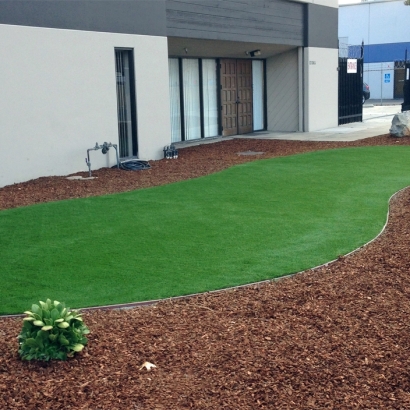 Grass Turf Brooklyn Center, Minnesota Landscape Design, Commercial Landscape