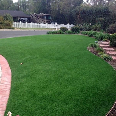 Grass Turf Cedar Falls, Iowa Lawns, Front Yard Ideas