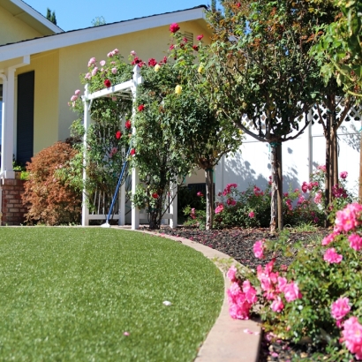 Grass Turf Derry Village, New Hampshire Roof Top, Front Yard Landscaping Ideas