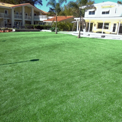 Grass Turf Muskogee, Oklahoma Landscape Ideas, Backyard Pool