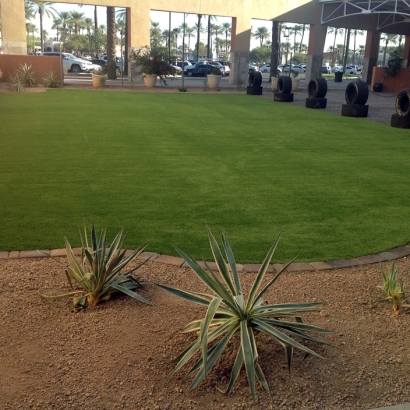 Grass Turf Oakton, Virginia Design Ideas, Commercial Landscape