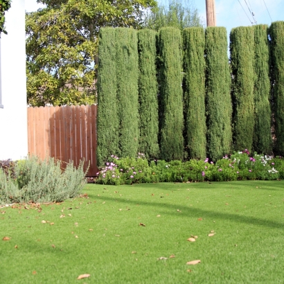 Green Lawn Franklin Square, New York Landscape Design, Front Yard Design