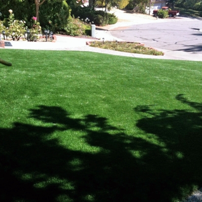 Green Lawn Oildale, California Garden Ideas, Front Yard Landscape Ideas