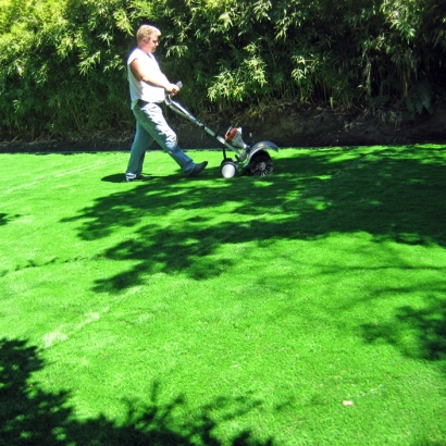 Installing Artificial Grass Woodridge, Illinois Backyard Playground, Small Backyard Ideas