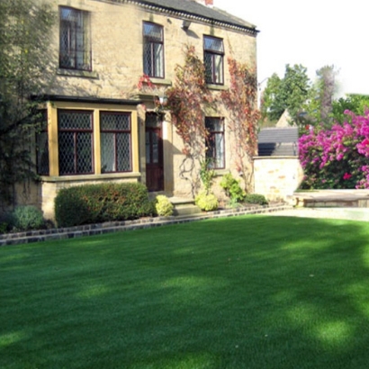 Outdoor Carpet College Park, Maryland Backyard Deck Ideas, Front Yard Landscaping