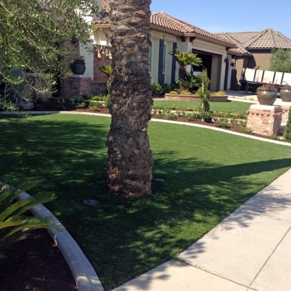 Outdoor Carpet North Bethesda, Maryland Home And Garden, Front Yard