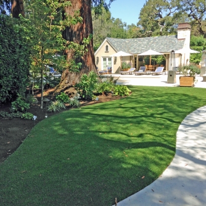 Plastic Grass Altamonte Springs, Florida Home And Garden, Commercial Landscape