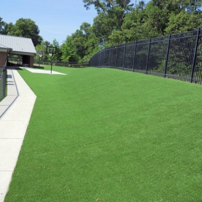 Plastic Grass Apopka, Florida Landscape Design, Commercial Landscape