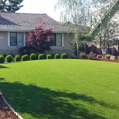 Plastic Grass Danville, California Design Ideas, Front Yard Landscaping