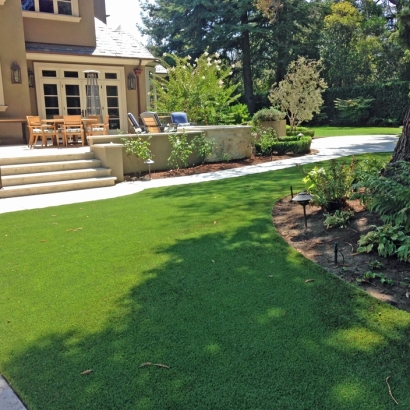 Plastic Grass Lake Ridge, Virginia Roof Top, Backyard Ideas