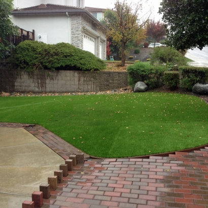 Plastic Grass Lawndale, California Backyard Deck Ideas, Backyard Garden Ideas