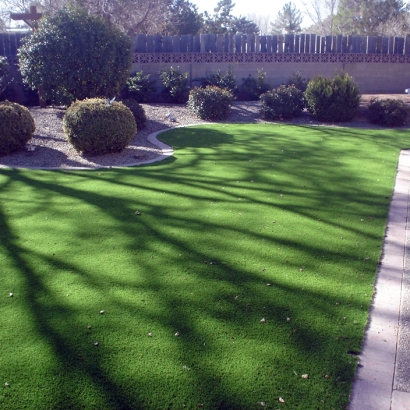 Plastic Grass Streamwood, Illinois Landscape Photos, Front Yard Ideas