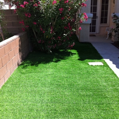 Plastic Grass Waipahu, Hawaii Lawn And Landscape, Front Yard Landscaping Ideas