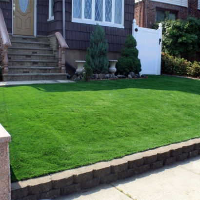 Synthetic Grass Campbell, California Landscape Ideas, Front Yard