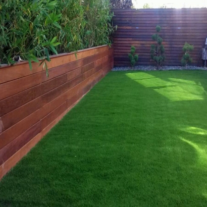 Synthetic Grass Cost Brea, California Landscape Ideas, Backyard Ideas