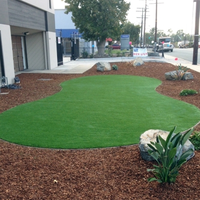 Synthetic Grass Cost Issaquah, Washington Landscaping Business, Commercial Landscape