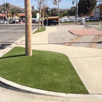 Synthetic Grass Cost Montgomery Village, Maryland Landscape Ideas, Commercial Landscape