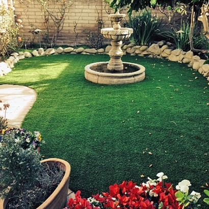 Synthetic Grass Cost Mooresville, North Carolina Home And Garden