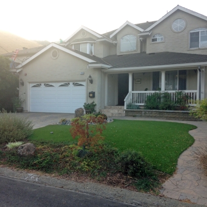 Synthetic Grass Cost Oswego, Illinois Landscaping Business, Front Yard Landscaping Ideas