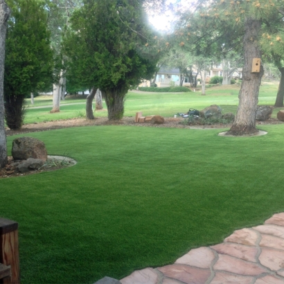 Synthetic Grass Cost South Valley, New Mexico Lawn And Garden, Small Front Yard Landscaping